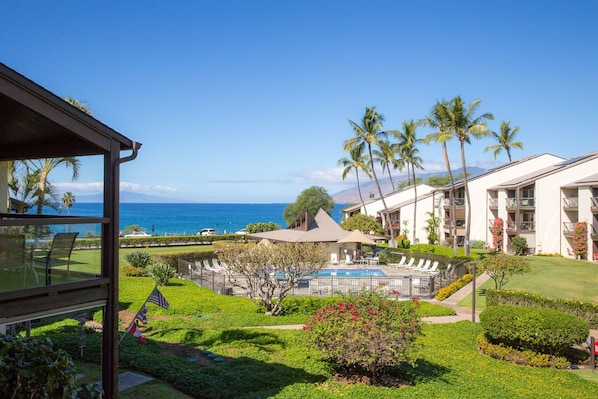 A resort with a pool, palm trees, and a view of the ocean.