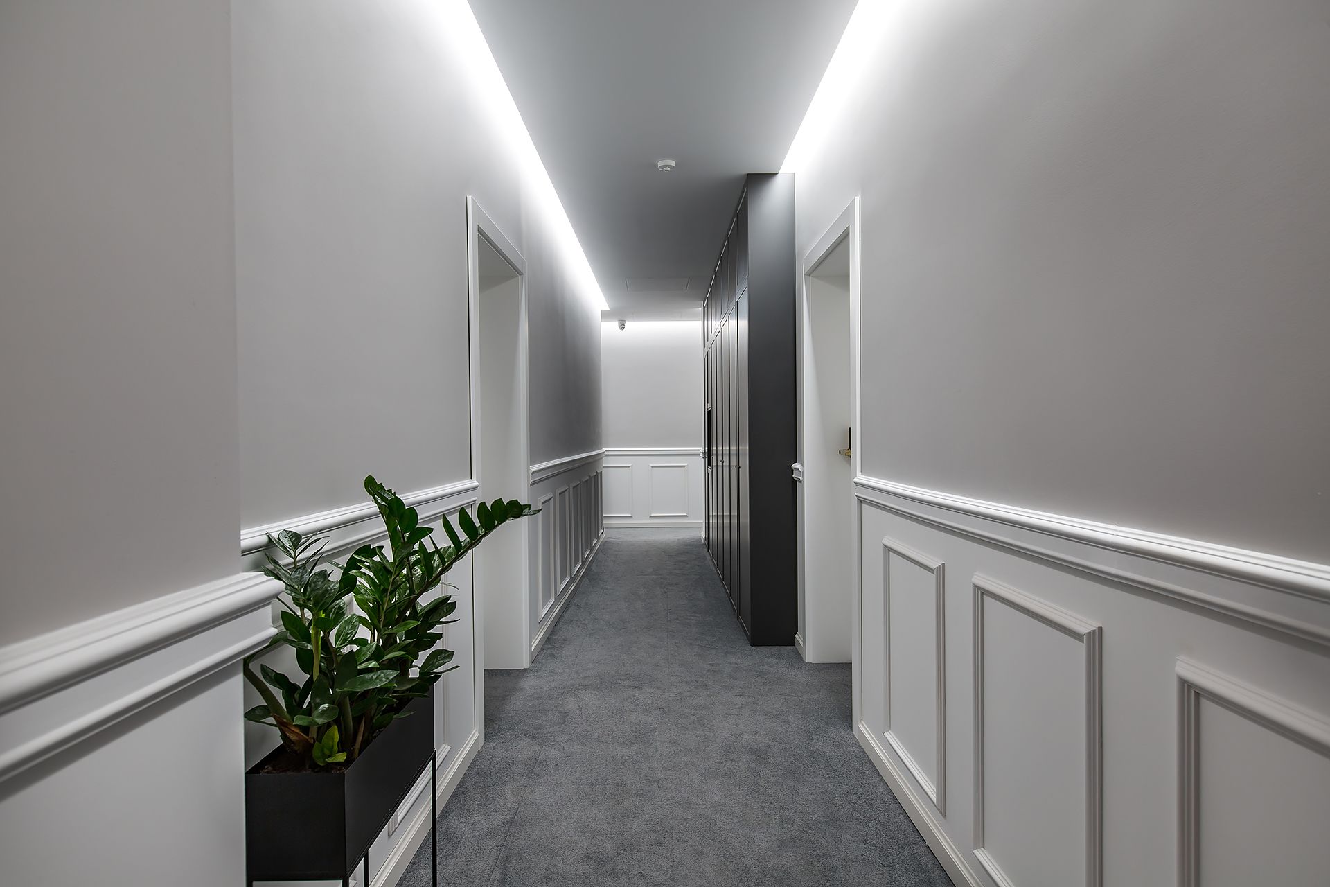 A hallway with white wainscoting, a grey carpet, and a potted plant.