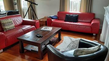 TV, DVD player, books, video library