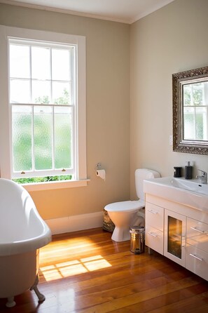 Bathtub, hair dryer, towels, soap