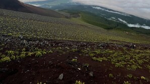 A mountainous landscape with a view of clouds below and a clear sky above. - Mt.Fuji Fujinomiya Trail The New 7th Station Goraikousansou (Fujinomiya)