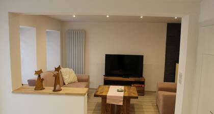 Ferienhaus Nettes Landhaus