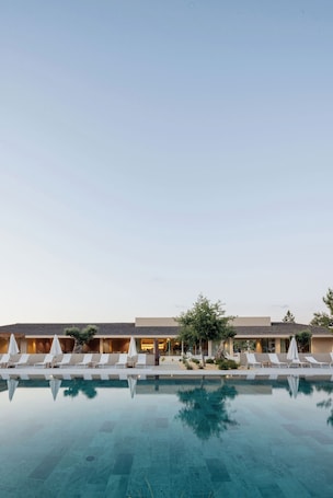 Una piscina al aire libre, sombrillas, sillones reclinables de piscina