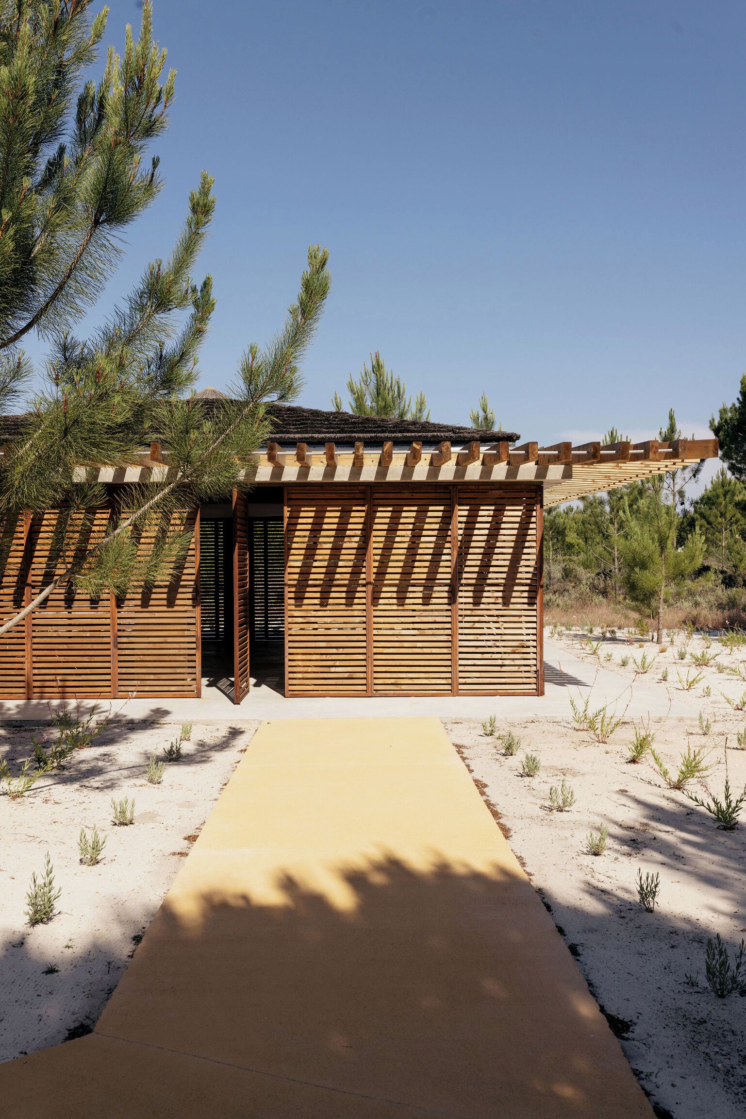 Un edificio moderno con rivestimento in legno e un vialetto in cemento che vi conduce.