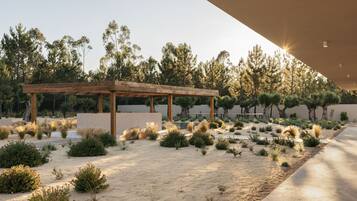 A desert garden with a wooden pergola, various shrubs, and trees in the background.