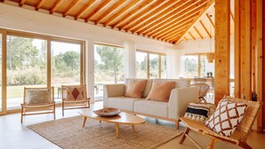 Amplia sala de estar con techo de madera alto, ventanas grandes, un sofá, dos sillones de mimbre, una mesa de centro y vistas al exterior.