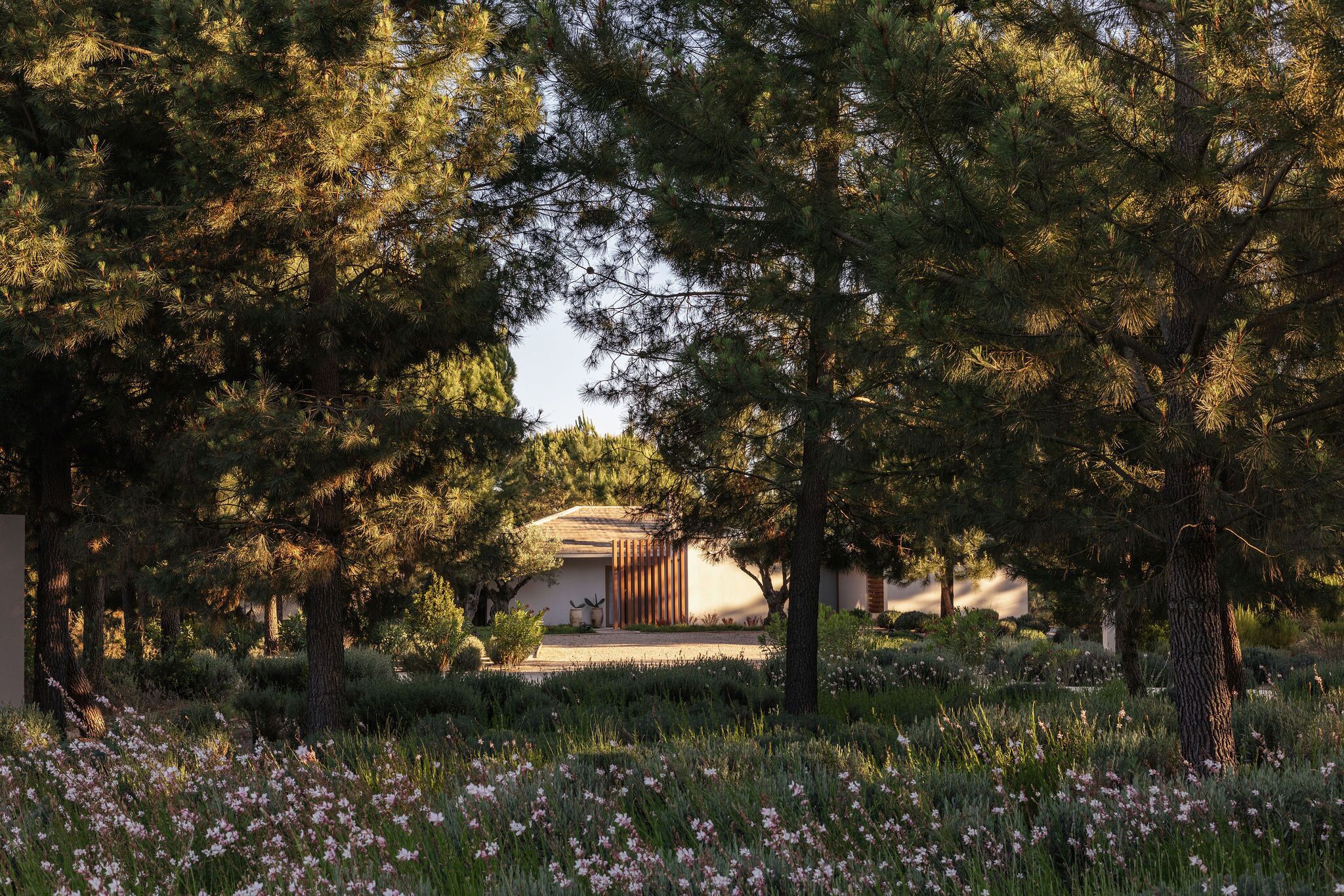 quarto deluxe com pátio exterior | terrace/patio