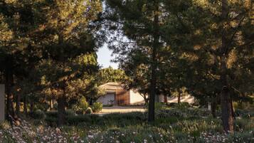 A modern building surrounded by dense trees and a field of wildflowers.