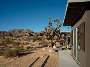 Property grounds - Shelter 1 by Homestead Modern (Joshua Tree)