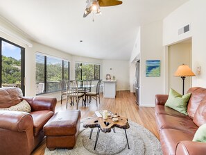 TV, fireplace, books, stereo - The Treehouse on Lake Travis (Lakeway)