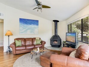 TV, fireplace, books, stereo - The Treehouse on Lake Travis (Lakeway)