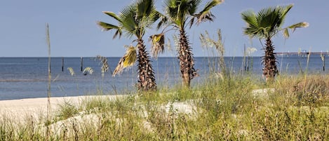 Una spiaggia con palme e una vista limpida sull'oceano.
