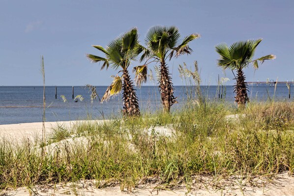 Beach nearby, beach umbrellas