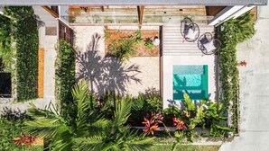 Un espacio exterior moderno con patio de hormigón, abundante vegetación y un ventanal que da a una zona cubierta.