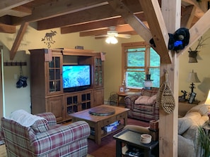 Smart TV, fireplace, video games, DVD player