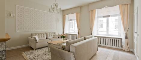 TV, fireplace, books