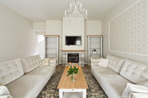 TV, fireplace, books