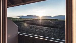 A vineyard with rows of grapevines and a mountain range in the background. - Das Wanda (Caldaro Sulla Strada del Vino)