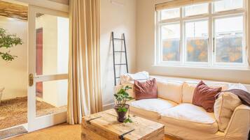 Smart TV, fireplace, DVD player, books