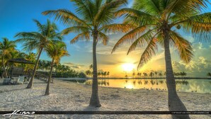 Ein Strand mit Palmen, einer Holzkonstruktion und einem ruhigen Gewässer, das den Himmel spiegelt.