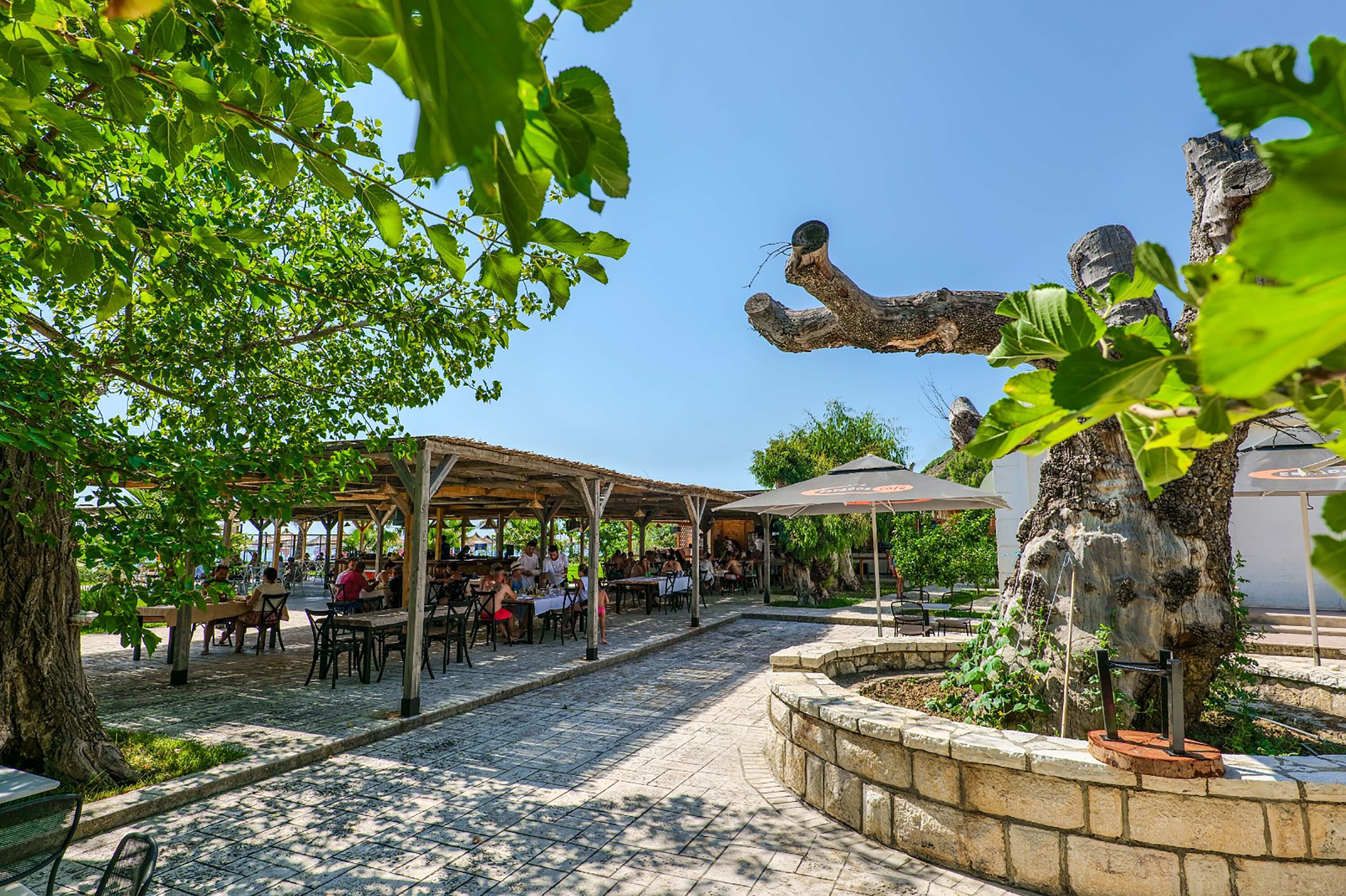 An outdoor café with tables and chairs, surrounded by trees and a stone wall.