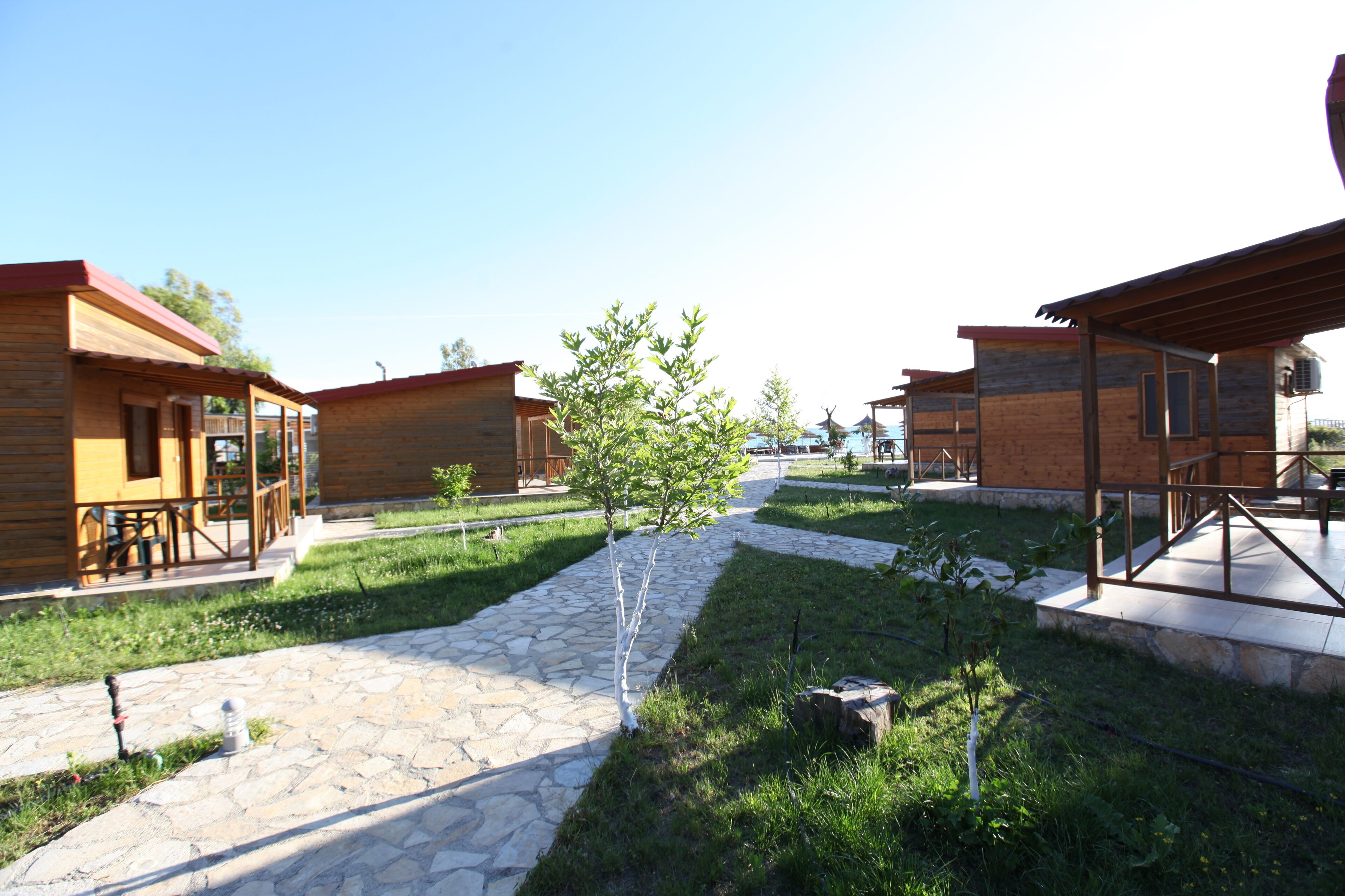 Un cortile con cabine di legno, sentieri in pietra e alberi da frutto.