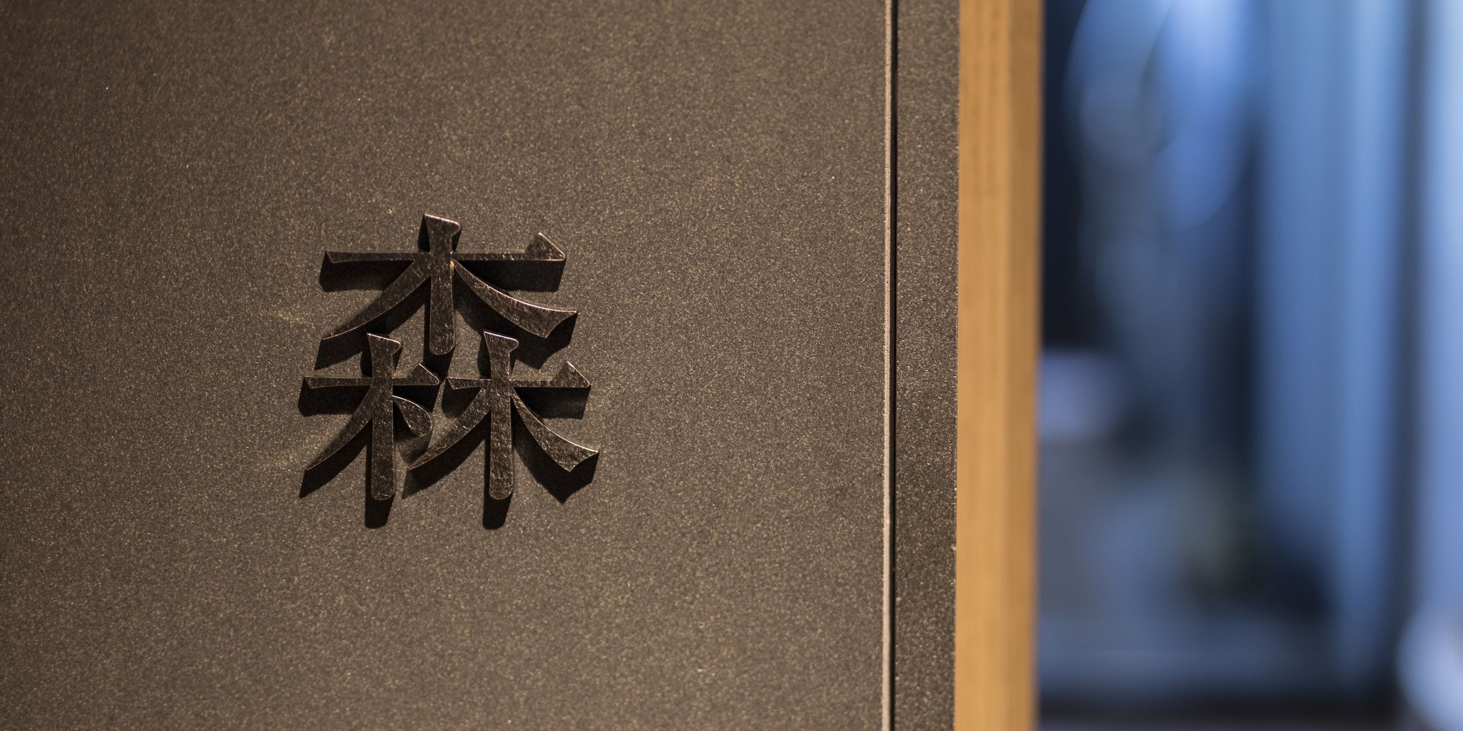 A close-up of a metallic emblem on a textured surface, likely part of a building's exterior.