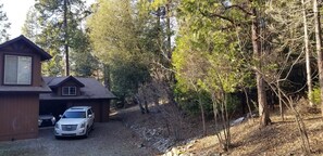 Property grounds - Beautiful forest getaway from city noise and traffic (North Fork)