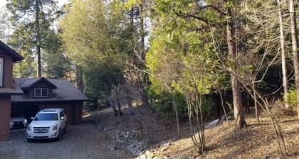 Beautiful forest getaway from city noise and traffic