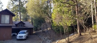 Hermosa escapada al bosque del ruido y el tráfico de la ciudad