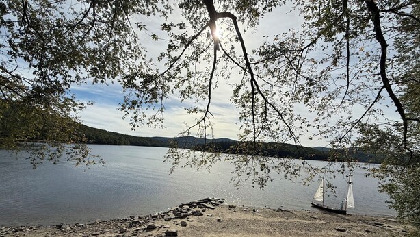En vacker vy över en sjö med en stenstrand, en segelbåt och träd som inramar landskapet.