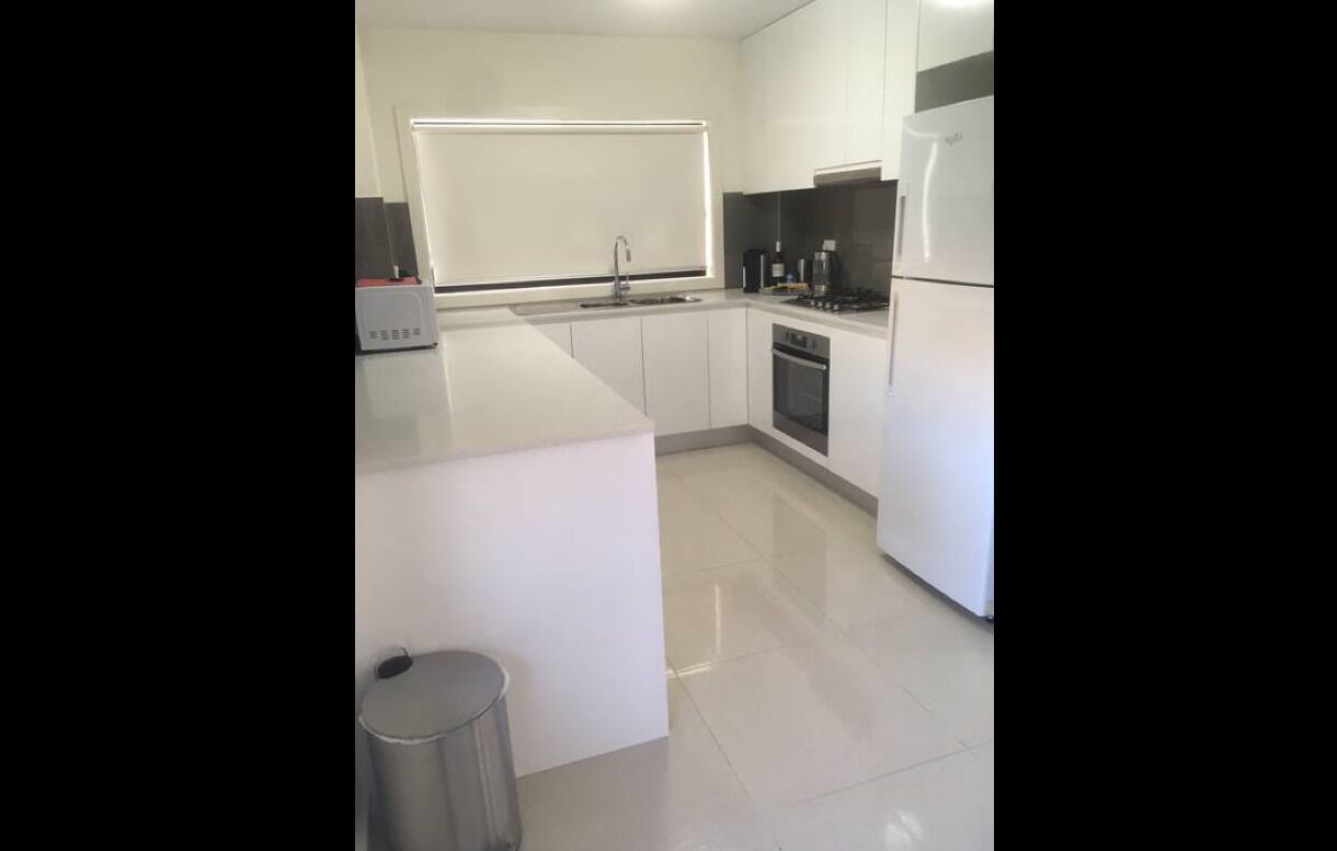 Tranquility in the Nepean — image 6