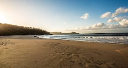 Fort Walker (Studio)