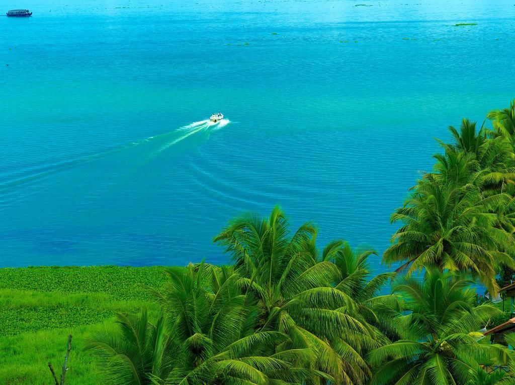 A boat on a turquoise sea with palm trees in the foreground.