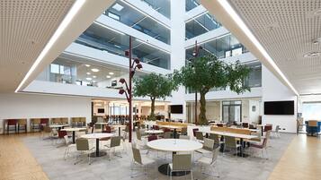 Una amplia cafetería interior con varias mesas y sillas, un gran árbol y un techo alto con paneles perforados.
