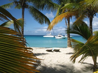 Affordable & Adorable 2 Bdrm ground level condo near the beach, shopping, & more