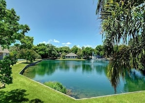 Parco della struttura