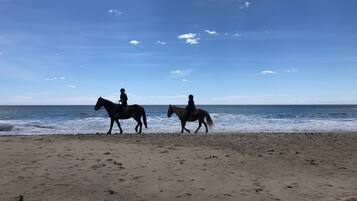 Camastros y toallas de playa