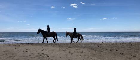 Chaises longues, serviettes de plage