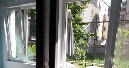 Studio flowers 2 + 1