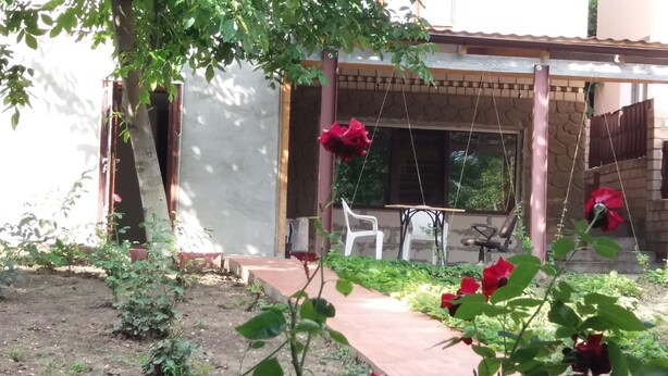 Un patio con una silla colgante, una mesita y una planta en maceta.