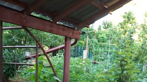 Un patio cubierto con una mesa y sillas, rodeado de abundante vegetación y un jardín.