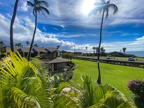 Property grounds - Hale Kamaole 205 Second floor condo, easy access to best beach on Maui! (Kihei)