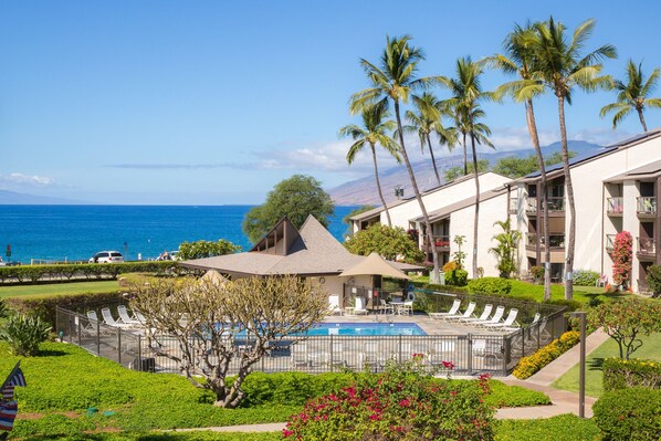 Pool - Hale Kamaole 205 Second floor condo, easy access to best beach on Maui! (Kihei)