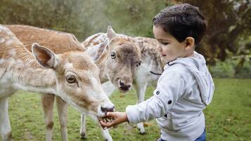 Aktiviti kanak-kanak