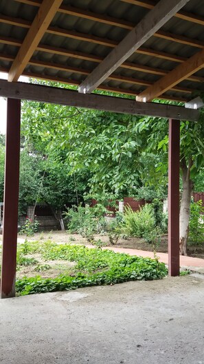 Unclassified image, 2 of 4, button