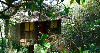 Puutalo A nature lover's paradise night