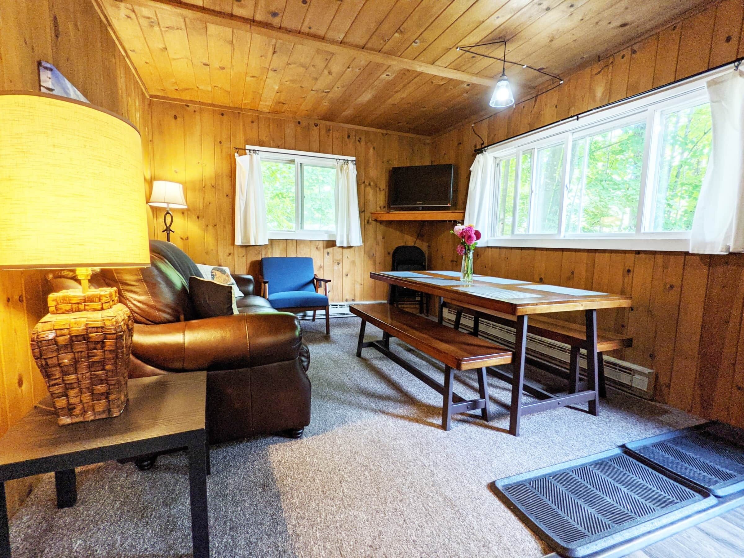 TV, fireplace, foosball, books