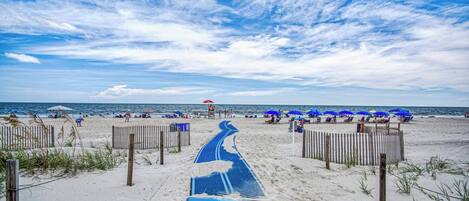 Playa en los alrededores