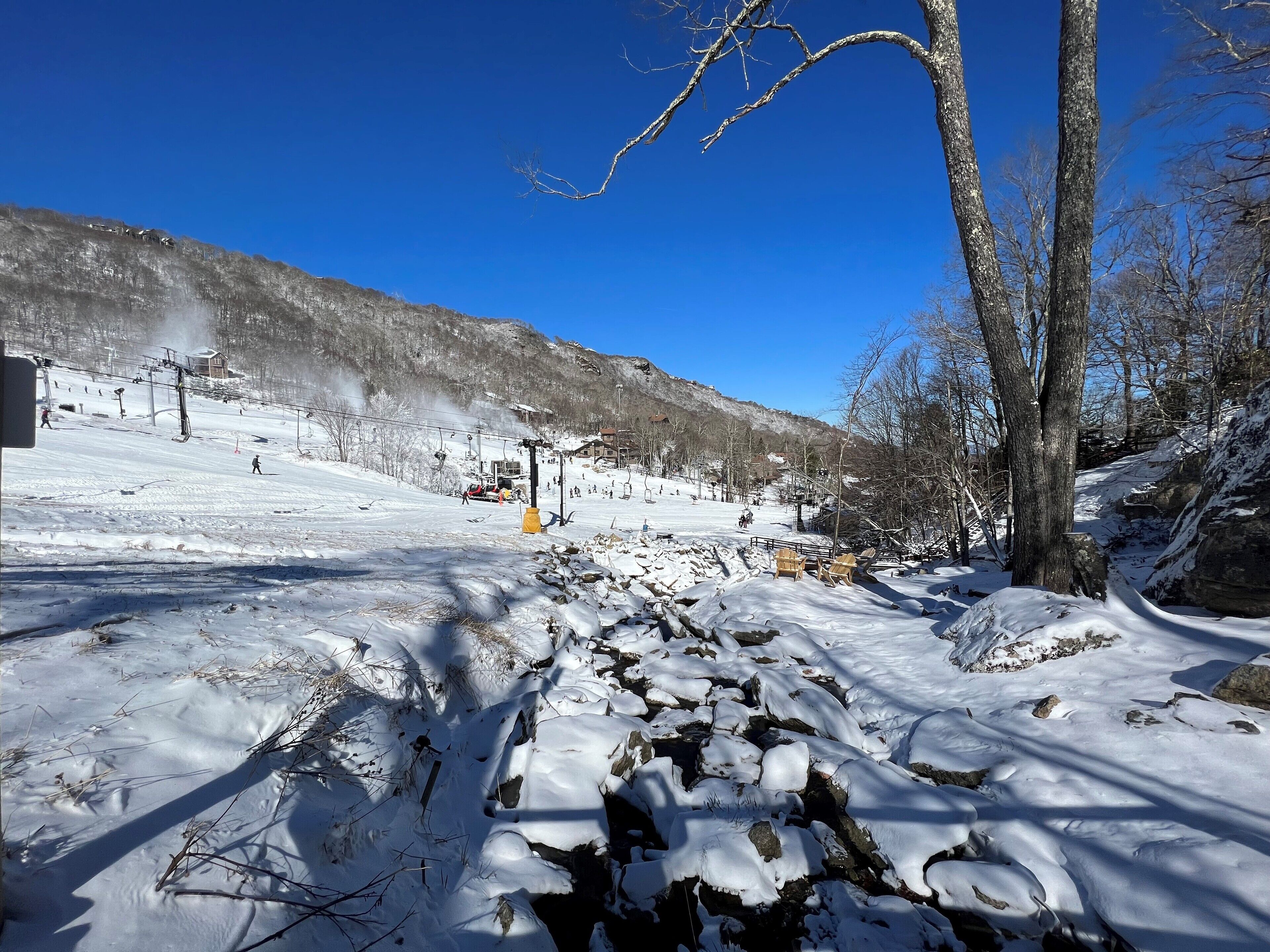 Une piste de ski enneigée, avec un télésiège, des arbres et un ciel bleu dégagé.